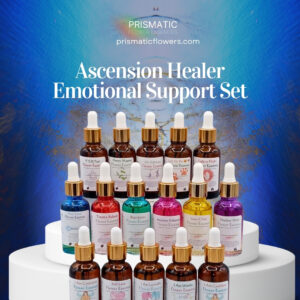 Ascension Healer Emotional Support Set