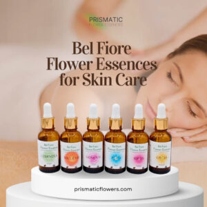 Bel Fiore Flower Essences for Skin Care