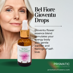 Bel Fiore Gioventu Drops