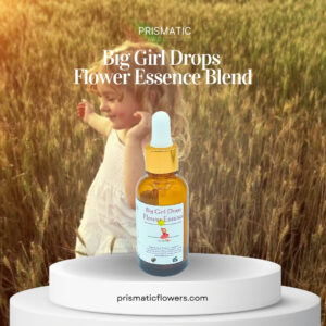 Big Girl Drops Flower Essence Blend 2