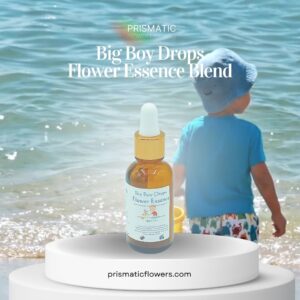 Big Boy Drops Flower Essence Blend