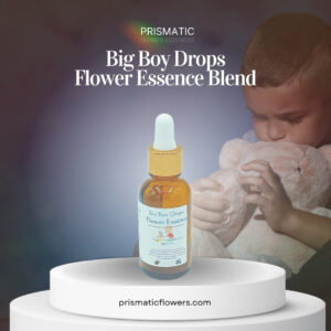 Big boy drops Flower Essence Blend