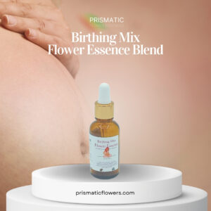 Birthing Mix Flower Essence Blend