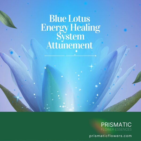 Blue Lotus Energy Healing System Attunement