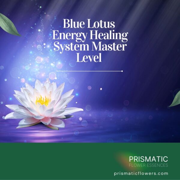 Blue Lotus Energy Healing Master Level Attunement
