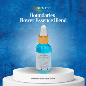 Boundaries Flower Essence