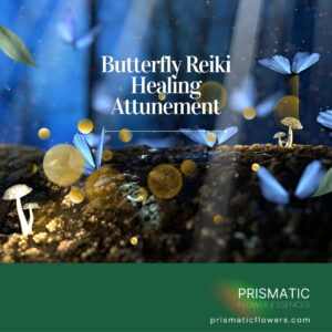 Butterfly Reiki Healing Attunement