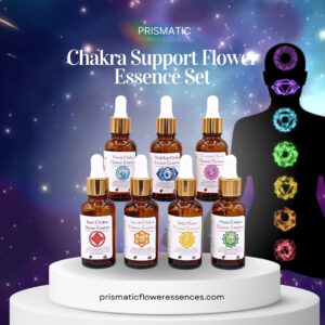 Chakra Support Flower Essence Set