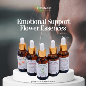 Emotional Support Flower Essences