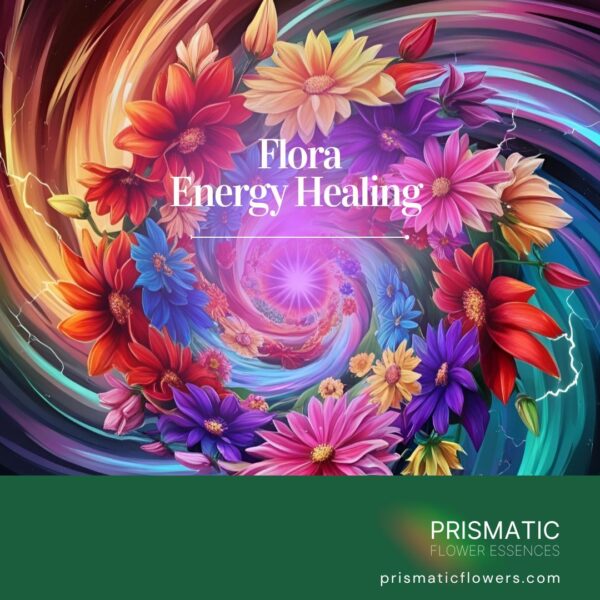 Flora Energy Healing service image with colorful healing flowers arranged in energetic spiral pattern for topical flower essence therapy and natural energy balancing.