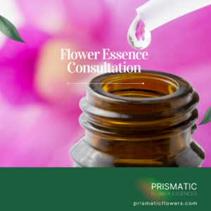 Flower Essence Consultation