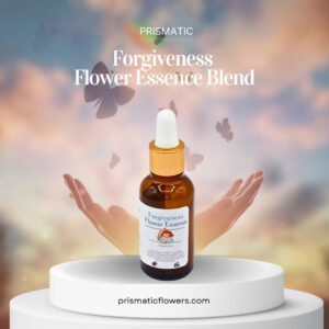 Forgiveness Flower Essence Blend