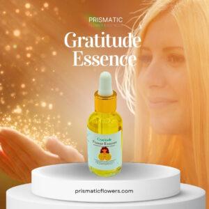 Gratitude Essence