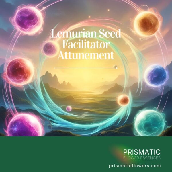 Lemurian Seed Facilitator Attunement Course and manual showing ancient healing symbols and connection techniques to Lemurian crystal wisdom.