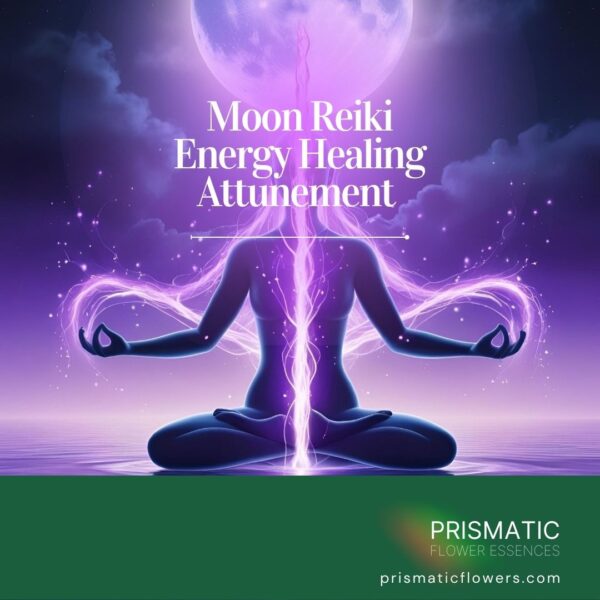 Moon Reiki Attunement Course and manual featuring lunar cycle symbols and techniques for harnessing feminine energy and intuitive healing.