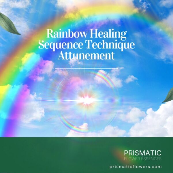 Rainbow Healing Sequence Technique Attunement