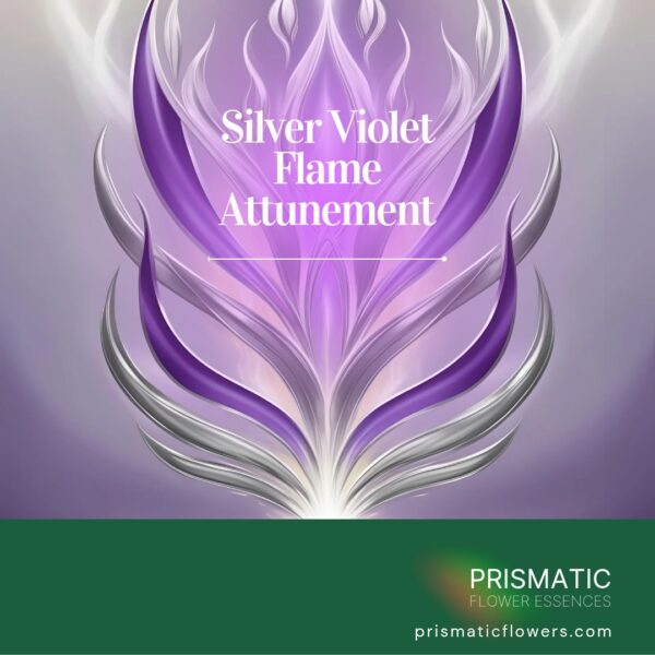 Silver Violet Flame Attunement course and manual featuring transmutation symbols and techniques for karmic clearing and spiritual purification.