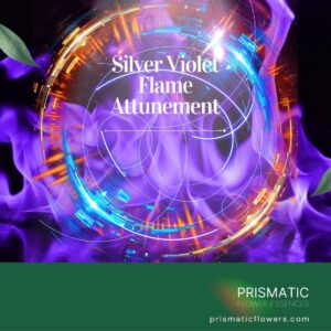 Silver Violet Flame Attunement