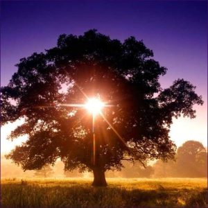 How to Remove Negative Energy – The Power of the Negativity Flush