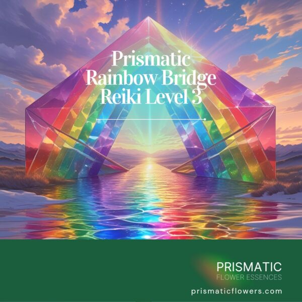 prismatic Reiki rainbow bridge reiki level 3