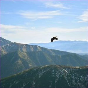 Spirit Guide Activation – 7 Powerful Activations for Divine Connection