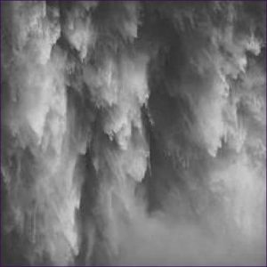 The Shadow Self Empowerment